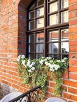 fachadas e janelas de edifícios decorados com flores. foto