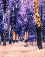 inverno noite parque com Natal decorações, luzes, calçada coberto com neve e árvores foto
