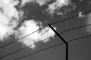 farpado fio em a fundo do a nublado céu. a conceito do fronteira fecho, prisão ou perda do liberdade. foto