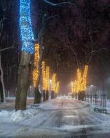 inverno parque às noite com Natal decorações, luzes, calçada coberto com neve e árvores dentro nebuloso clima. foto