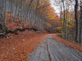 estrada de montanha no outono em abruzzo, itália foto