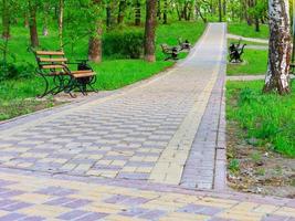 bancos de madeira em um pitoresco parque de verão da cidade ficam ao longo e ao longo das bordas de um caminho pavimentado que sobe a encosta.
