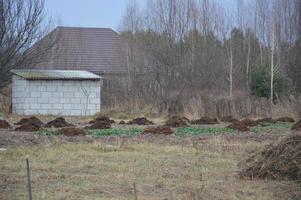 uma pilha de feno e esterco preparada para fertilizar a horta para o inverno foto