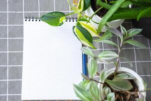 a esvaziar zombar acima caderno com uma caneta em uma mesa com casa em vaso plantas. gravação recomendações para plantar Cuidado foto