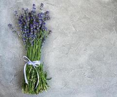 flores frescas de lavanda foto