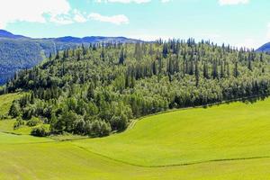 paisagem norueguesa com árvores abetos, montanhas e rochas. natureza da Noruega. foto