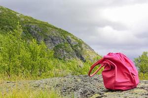 bolsa de mulher rosa esquecida no campo norueguês na Noruega. foto