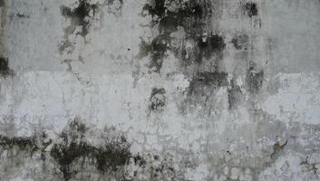 coleção de fundo de textura de parede áspera. superfície da parede de concreto musgosa e suja danificada. Plano de fundo texturizado 3D para interior, decoração, papel de parede, etc. foto