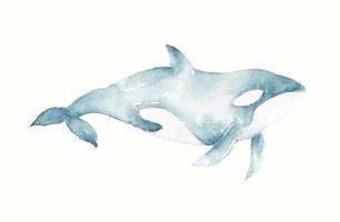 ilustração do vetor de baleia em estilo cartoon simples. desenho do doodle de um predador do mar para logotipo, símbolo, ícone, etc.