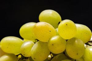 uva verde fresca. frutas e frutas. cozinha saudável. foto