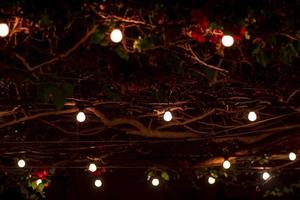 luzes de natal - condado de laranja - dezembro de 2018 foto