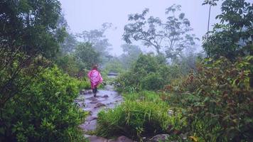 turista com capa de chuva rosa caminhando viagens aventura natureza na floresta tropical. viajar natureza, viajar relaxar, viajar na Tailândia, estação das chuvas. foto