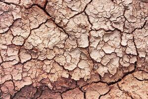 chão marrom claro muitos terra de crack superfície seca com terra marrom. foto