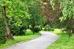 uma estrada sinuosa de asfalto para pedestres através de um parque com muitos arbustos e árvores decorativas bonitas. foto