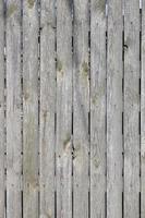 cerca de madeira cinza velha com madeira envelhecida, textura e fundo de pranchas de madeira velhas em um dia ensolarado.