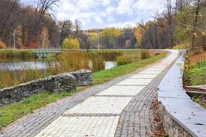 a estrada de lajes de pavimentação com um enquadramento de folhas de paralelepípedo no parque de outono da cidade foto