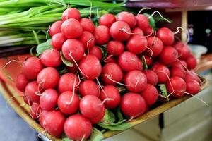 tubérculos secos de rabanete vermelho no fundo de cebolinha em borrão. foto