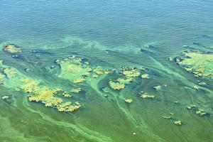 problemas ambientais. poluição da superfície da água. fluxo diagonal de plâncton verde.