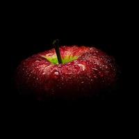 gota de água na superfície brilhante de maçã vermelha em fundo preto foto