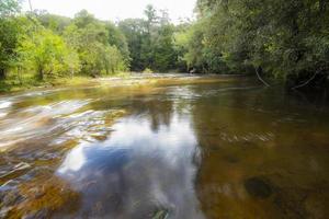 a selva verde árvore e planta detalhe natureza na floresta tropical com pedras e árvores córregos de água cachoeiras fluindo das montanhas - bela floresta de rio na Tailândia foto