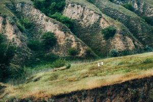 um cara com uma garota em roupas leves no fundo de um desfiladeiro verde foto