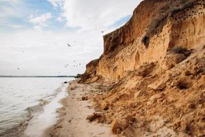 andorinhas voam sobre a praia perto de encostas de argila foto