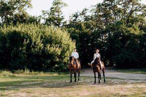 uma garota com um vestido de verão branco e um cara com uma camisa branca em uma caminhada com cavalos marrons foto