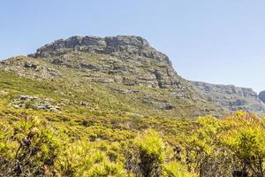 vista da cidade do cabo do parque nacional de Table Mountain, áfrica do sul. foto