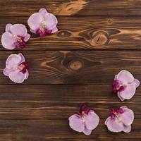orquídea mesa de madeira foto