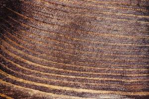 Prancha de madeira marrom textura ou textura de fundo de madeira e madeira escura natural foto