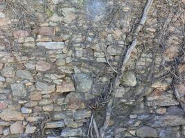 textura de rocha e parede textura de fundo orgânico de natureza e líquido de mármore em pó. foto