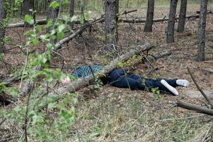 um corpo na floresta. um homem morto com uma camiseta e calças azuis está preso por uma árvore caída. conceito de acidentes na floresta. foto