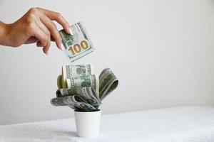 a mão da garota coloca dinheiro em uma flor de dólares em uma panela em um fundo branco. o conceito de investimentos lucrativos e investimentos. foto