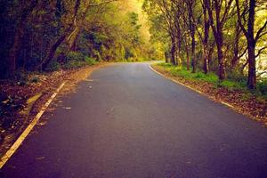 verde na trilha da estrada bela estrada transformando nas colinas e estrada de montanha estrada de pastagem à noite em. foto