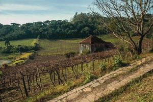paisagem rural com uma antiga casa de fazenda em meio a vinhedos, cercada por colinas arborizadas perto de bento gonçalves. uma simpática cidade do sul do brasil famosa por sua produção de vinho. foto
