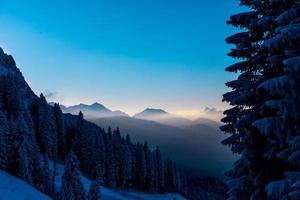 floresta de pinheiros alpinos com montanhas nebulosas foto