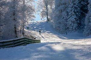 praticantes de esqui em encosta na ensolarada floresta de inverno na Bavária foto