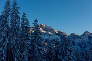 vista do pôr do sol de pinheiros cobertos de neve e picos das montanhas nos Alpes da Baviera foto