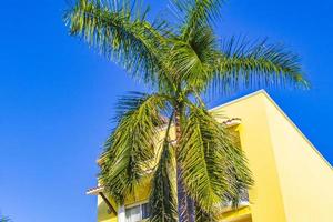 edifício de condomínio típico de hotel de residência amarela playa del carmen méxico. foto