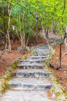 escadas de pedra caminhando trekking path borboletas butterfly valley rhodes greece. foto