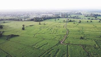 fotografias aéreas de terras agrícolas verdes rurais de drones. foto