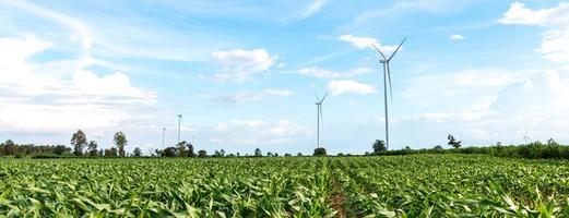 nas áreas agrícolas existem grandes turbinas eólicas foto
