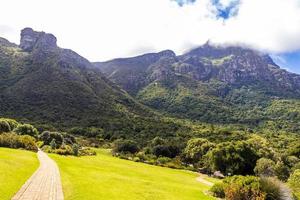 jardim botânico nacional de kirstenbosch, cidade do cabo, áfrica do sul. foto