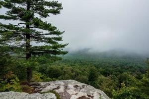 névoa sobre o lago Minnewaska foto