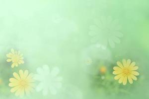 pastel amarelo verde lindo flor de primavera ramo vintage fundo com espaço de cópia gratuita para cartão de felicitações ou página de capa do ambiente, modelo, banner da web e cabeçalho.