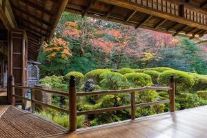 bela natureza folhas de árvore colorida no jardim zen japonês na temporada de outono em kyoto, japão. foto