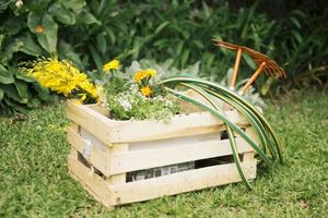 flores equipamento de jardim prado recipiente de madeira perto de plantas foto