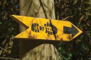 letreiro com instruções para caminhantes em trilha na mata do parque nacional dos aparados da serra, próximo a cambara do sul. uma pequena cidade do sul do brasil com incríveis atrativos turísticos naturais. foto