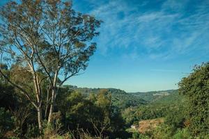 paisagem rural do vale com colinas cobertas por floresta, fazenda e árvore grande em primeiro plano perto de bento goncalves. uma simpática cidade do sul do brasil famosa por sua produção de vinho. foto