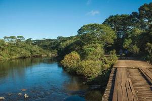 ponte de madeira sobre riacho e trilha pela floresta no parque nacional dos aparados da serra, próximo a cambara do sul. uma pequena cidade do sul do Brasil com incríveis atrações turísticas naturais. foto